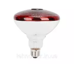 Лампа инфракрасная Tehnomur PAR38  цвет стекла красный 250 Вт Лампа инфракрасная Tehnomur PAR38  цвет стекла красный 250 Вт