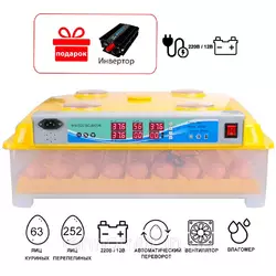 Инкубатор автоматический Tehnomur, MS-63/252 Инкубатор автоматический Tehnomur, MS-63/252