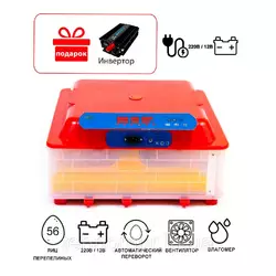 Инкубатор автоматический Tehnomur, MS-56 Инкубатор автоматический Tehnomur, MS-56