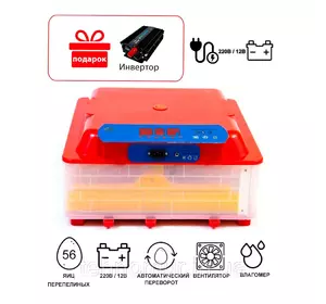 Инкубатор автоматический Tehnomur, MS-56 Инкубатор автоматический Tehnomur, MS-56